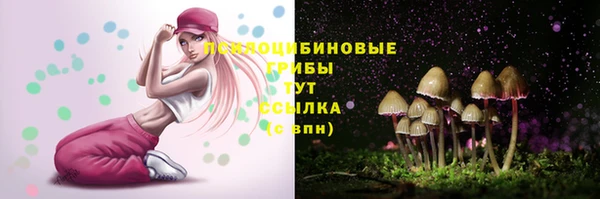 mdpv Новокубанск