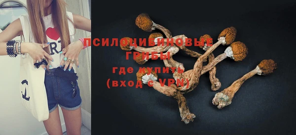 стаф Абинск