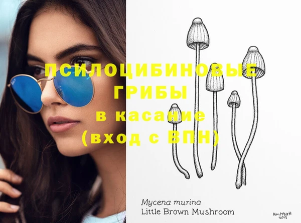 стаф Абинск