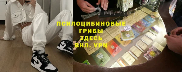 стаф Абинск